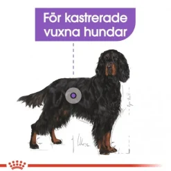 Royal Canin Sterilised Maxi Adult torrfoder för hund
