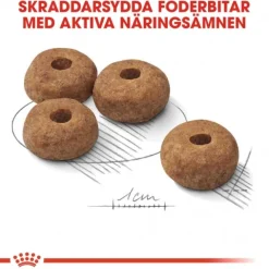 Royal Canin Sterilised Medium Adult torrfoder för hund