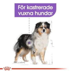 Royal Canin Sterilised Medium Adult torrfoder för hund