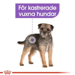 Royal Canin Sterilised Mini Adult torrfoder för hund