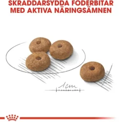 Royal Canin Sterilised Mini Adult torrfoder för hund
