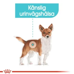 Royal Canin Urinary Care Adult Loaf våtfoder för hund 12x85 g
