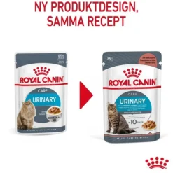 Royal Canin Urinary Care Gravy Adult våtfoder för katt 12 x 85 g