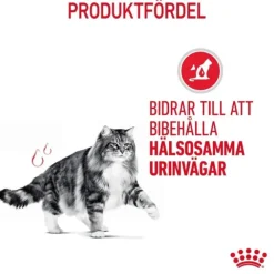 Royal Canin Urinary Care Gravy Adult våtfoder för katt 12 x 85 g