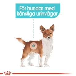 Royal Canin Urinary Care Mini Adult torrfoder för hund