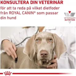 Royal Canin Veterinary Diets Dog Renal Small Dogs 3,5 kg