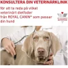 Royal Canin Veterinary Diets Dog Derma Sensitivity Control Chicken & Rice 12 x 420 g