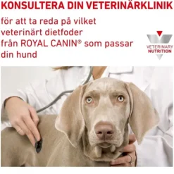 Royal Canin Veterinary Diets Dog Derma Sensitivity Control Chicken & Rice 12 x 420 g