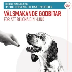 Royal Canin Veterinary Diets Dog Hypoallergenic Treats 230 g