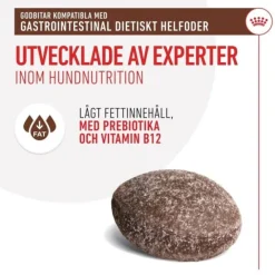 Royal Canin Veterinary Diets Dog Gastrointestinal Treats 230 g