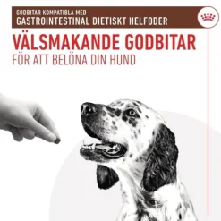 Royal Canin Veterinary Diets Dog Gastrointestinal Treats 230 g