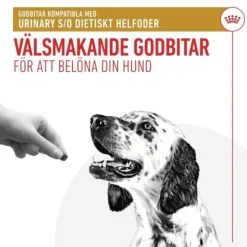 Royal Canin Veterinary Diets Dog Urinary Treats 230 g