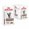 Royal Canin Veterinary Diets Cat Gastrointestinal Moderate Calorie 12x85 g