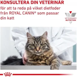 Royal Canin Veterinary Diets Cat Early Renal Gravy 12x85 g