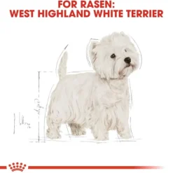 Royal Canin West Highland White Adult torrfoder för hund