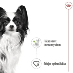 Royal Canin X-Small Adult Gravy våtfoder för hund 12 x 85 g