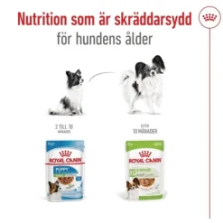 Royal Canin X-Small Adult Gravy våtfoder för hund 12 x 85 g