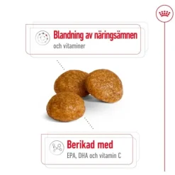 Royal Canin X-Small Adult 8+ torrfoder för hund