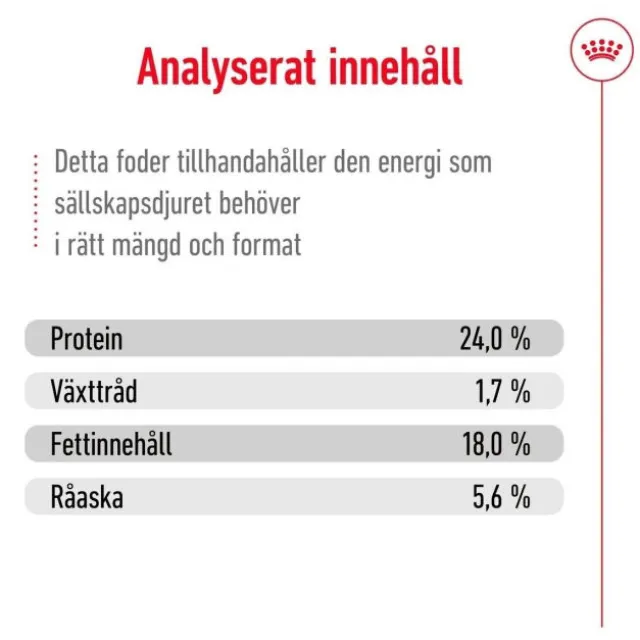 Royal Canin X-Small Adult 8+ torrfoder för hund