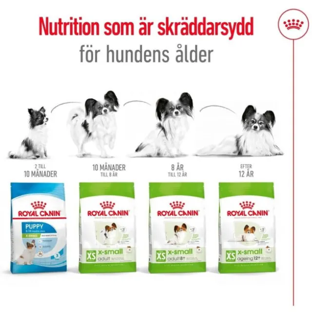 Royal Canin X-Small Adult 8+ torrfoder för hund