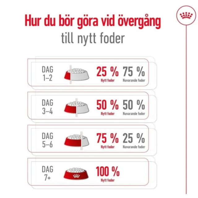 Royal Canin X-Small Adult 8+ torrfoder för hund