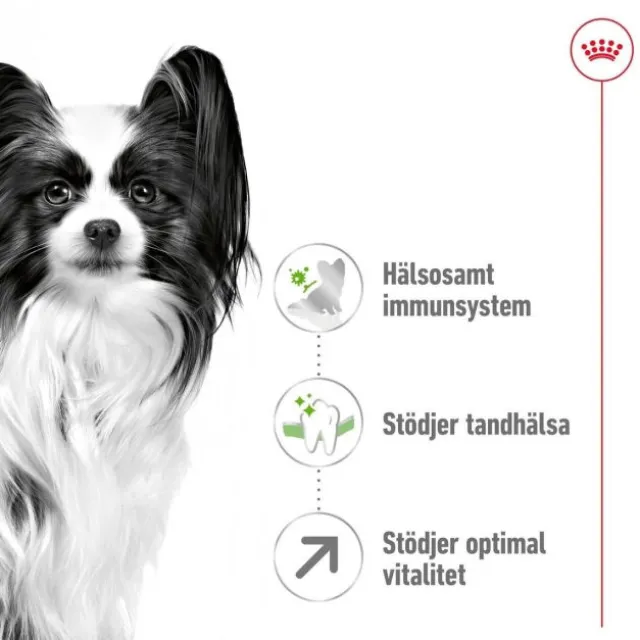 Royal Canin X-Small Adult 8+ torrfoder för hund