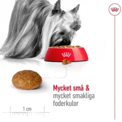Royal Canin X-Small Adult 8+ torrfoder för hund