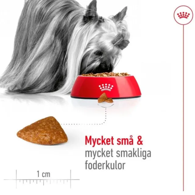 Royal Canin X-Small Ageing 12+ torrfoder för hund