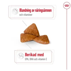 Royal Canin X-Small Ageing 12+ torrfoder för hund