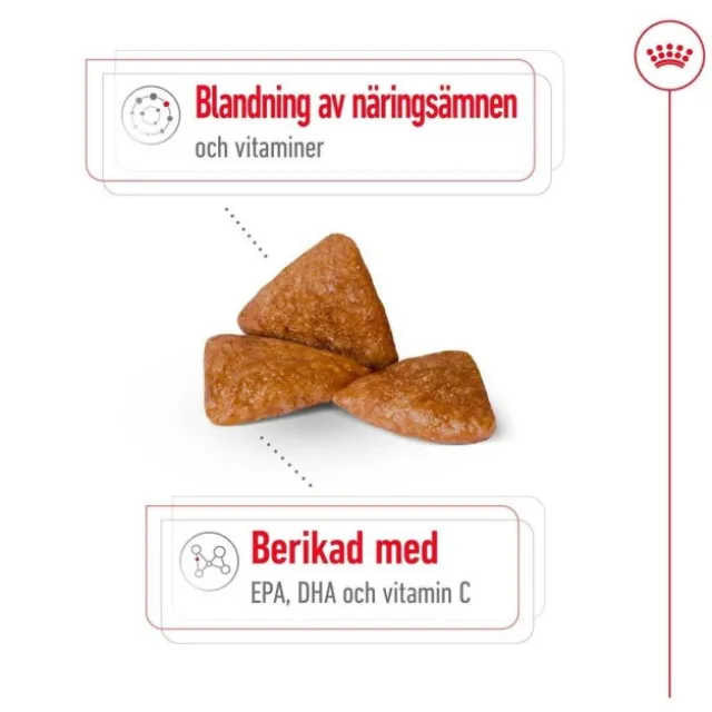 Royal Canin X-Small Ageing 12+ torrfoder för hund