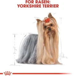 Royal Canin Yorkshire Terrier Adult Loaf våtfoder för hund 12x85 g