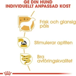 Royal Canin Yorkshire Terrier Adult Loaf våtfoder för hund 12x85 g