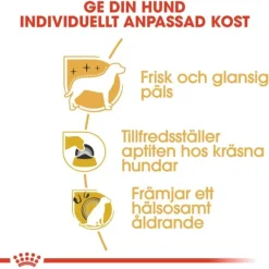 Royal Canin Yorkshire Terrier Adult torrfoder för hund