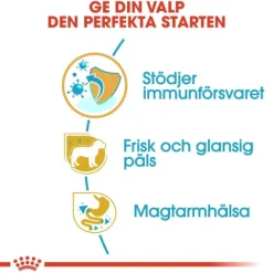Royal Canin Yorkshire Terrier Puppy torrfoder för hundvalp