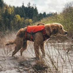 Ruffwear Confluence Hundflytväst Orange