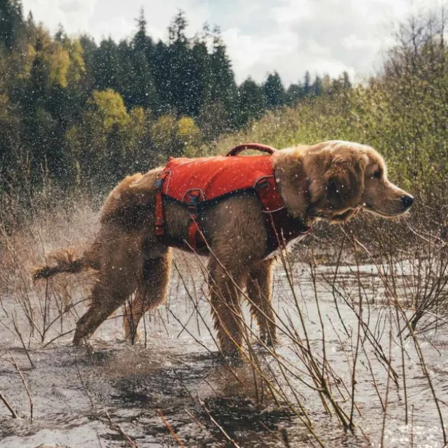 Ruffwear Confluence Hundflytväst Orange