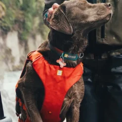 Ruffwear Confluence Hundflytväst Orange