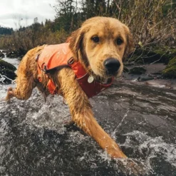 Ruffwear Confluence Hundflytväst Orange