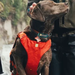 Ruffwear Confluence Hundflytväst Orange