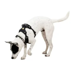Ruffwear Front Range Flex Harness Hundsele Grå