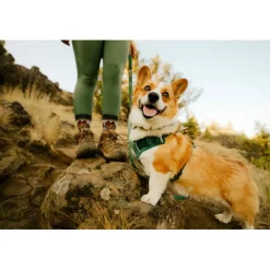 Ruffwear Front Range Flex Harness Hundsele Blågrön