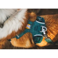 Ruffwear Front Range Flex Harness Hundsele Blågrön