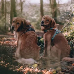 Ruffwear Front Range Hundsele Brun/Ljusbrun