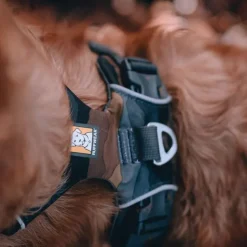 Ruffwear Front Range Hundsele Brun/Ljusbrun