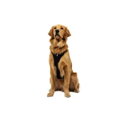 Ruffwear Ridgeline Harness Hundsele Svart