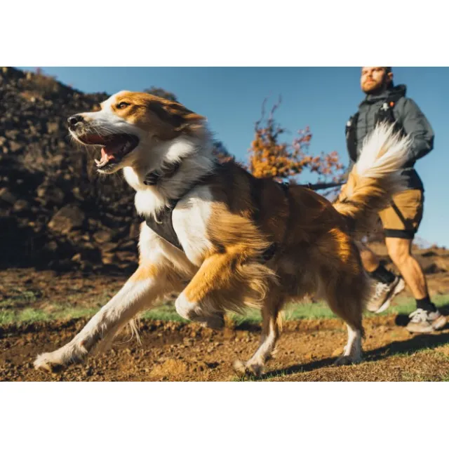 Ruffwear Ridgeline Harness Hundsele Svart