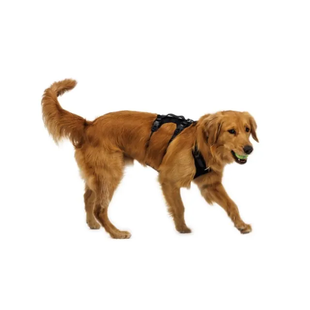 Ruffwear Ridgeline Harness Hundsele Svart