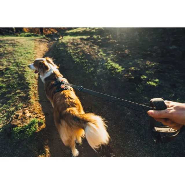 Ruffwear Ridgeline Harness Hundsele Svart