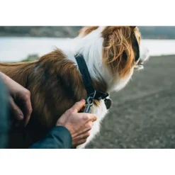 Ruffwear Ridgeline Hundkoppel Svart