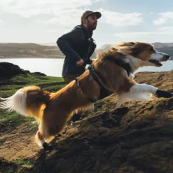 Ruffwear Ridgeline Hundskor Svart 2-pack